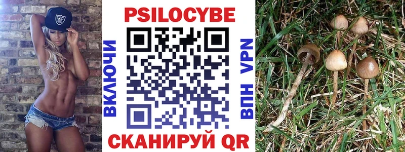 OMG ССЫЛКА  Сокол  Псилоцибиновые грибы мухоморы 